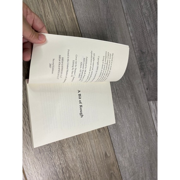 A Bit of Rough by Laura Baumbach MLR Press 2007 MM Romance Paperback Book - Picture 5 of 7